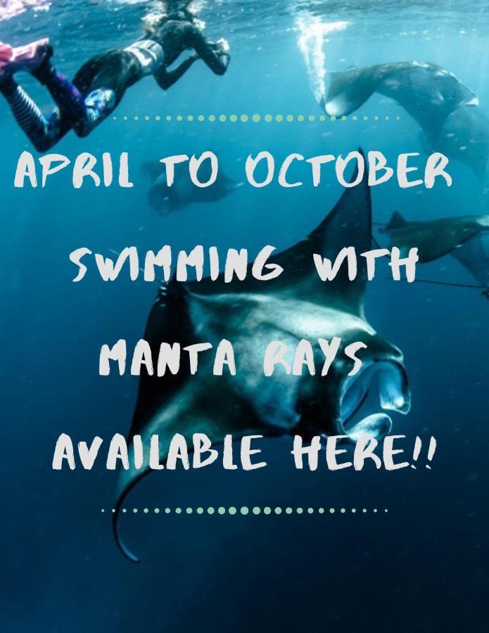 White Sandy Beach-Best Manta Snorkeling Tethi Екстер'єр фото